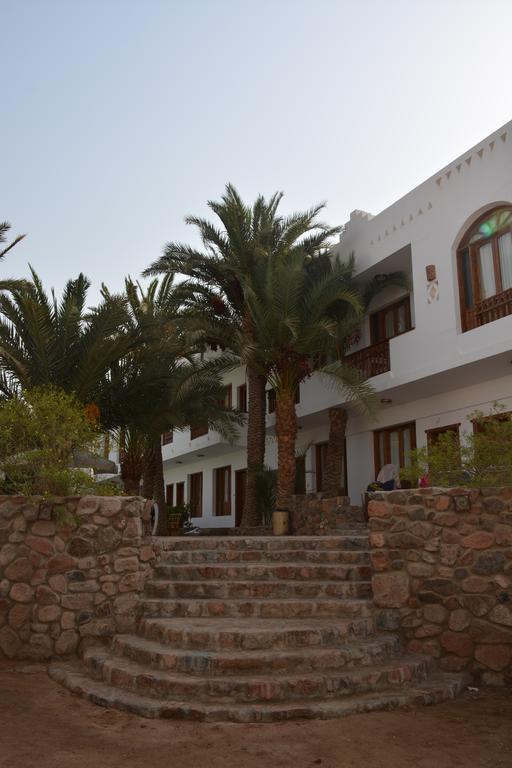 Dahab Divers Exteriör bild