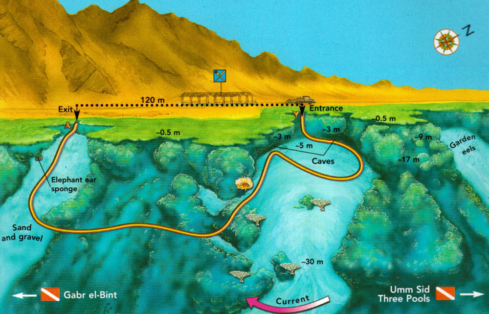 Dahab Divers Exteriör bild