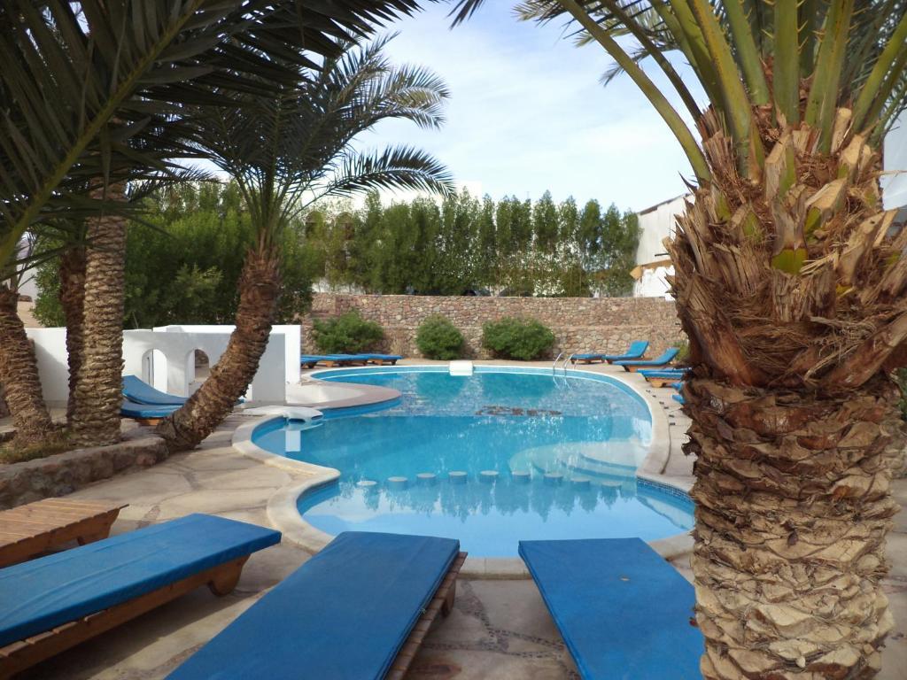 Dahab Divers Exteriör bild