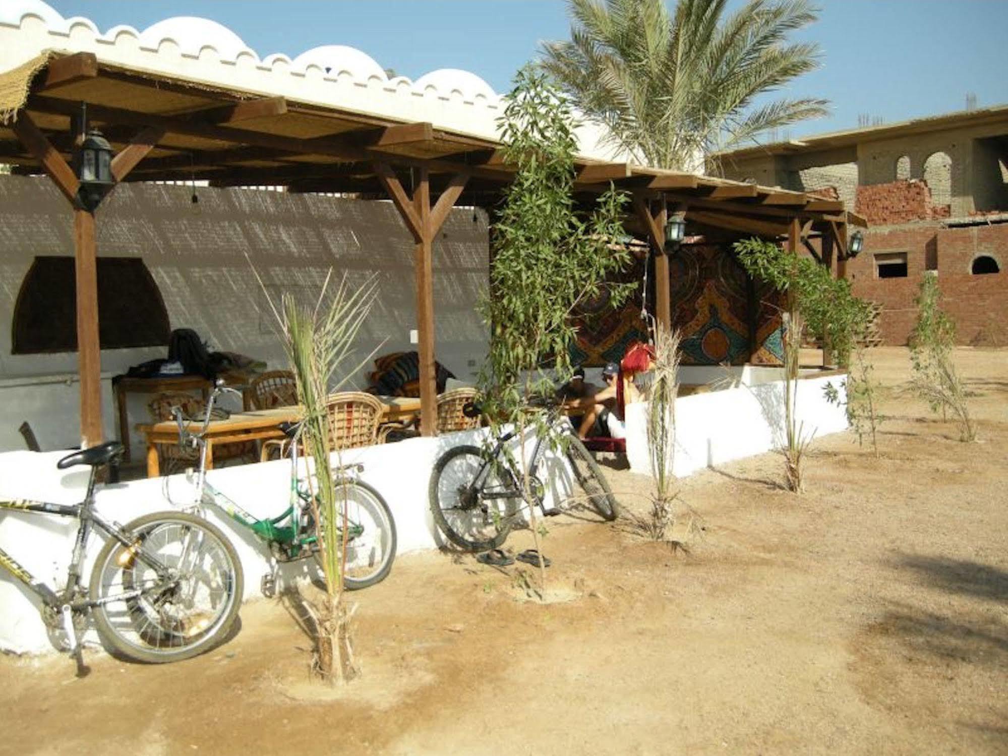 Dahab Divers Exteriör bild