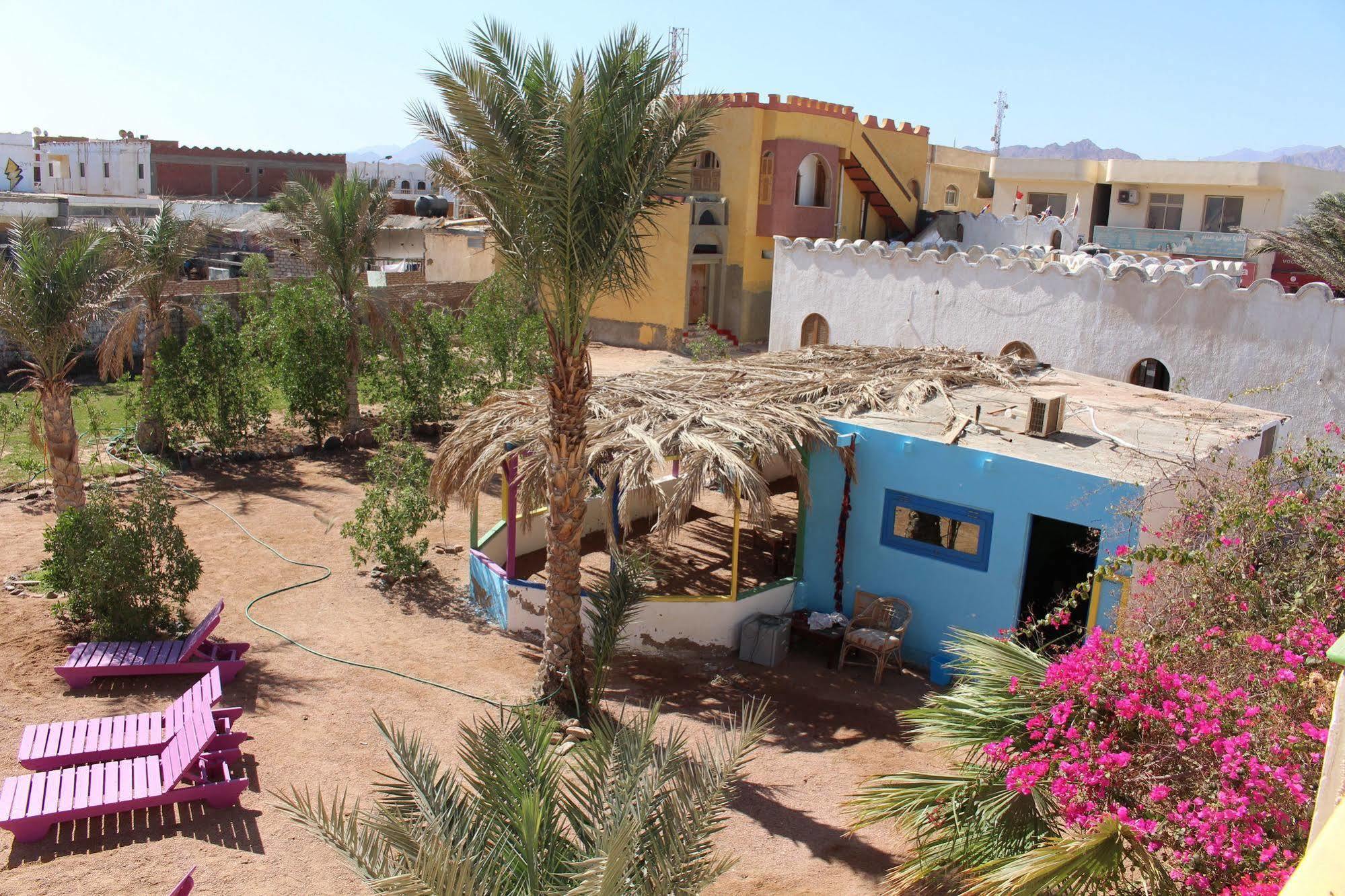 Dahab Divers Exteriör bild