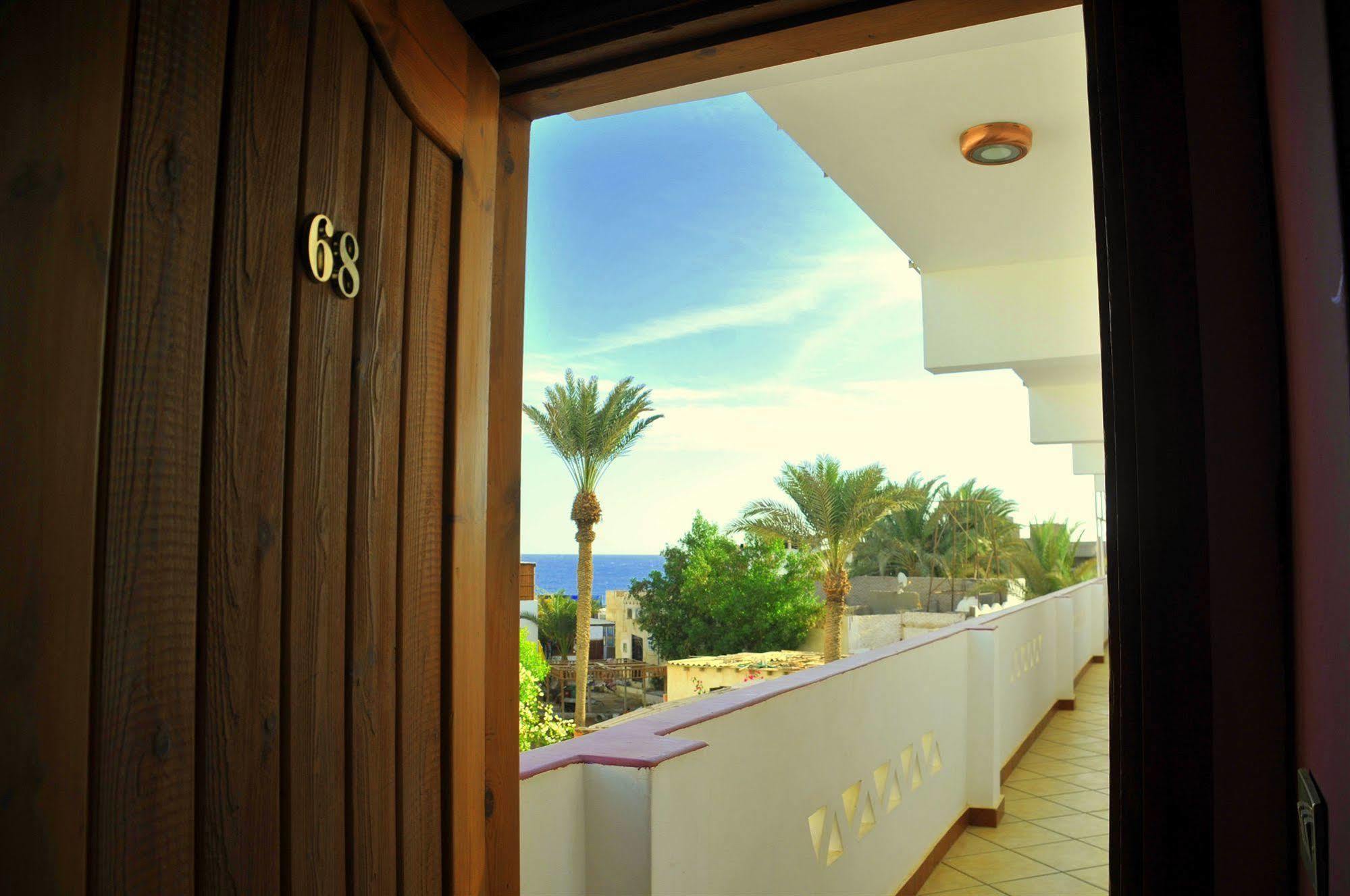 Dahab Divers Exteriör bild