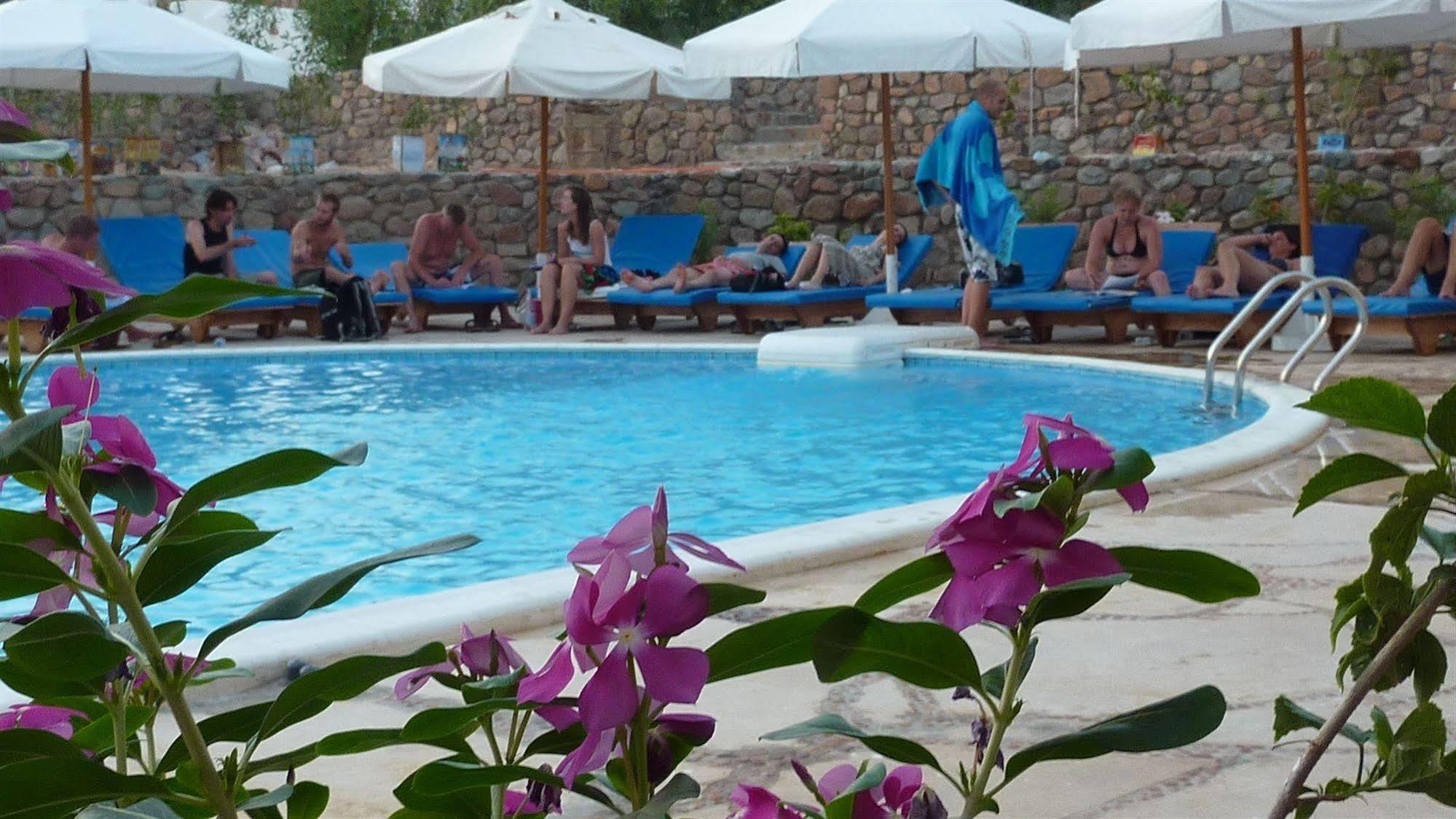 Dahab Divers Exteriör bild