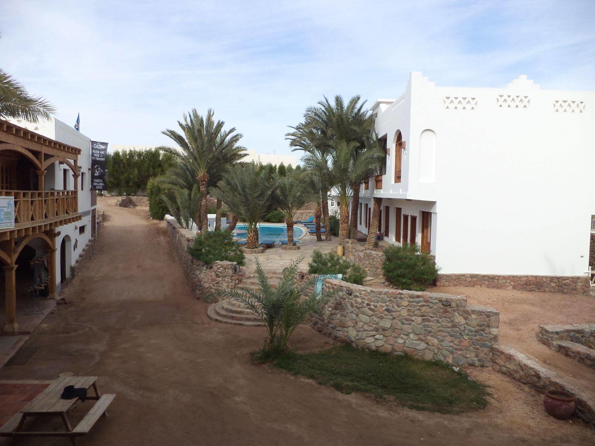 Dahab Divers Exteriör bild